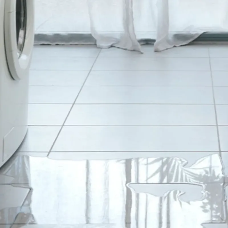 Appliance Leak Cleanup in Henderson County, TX