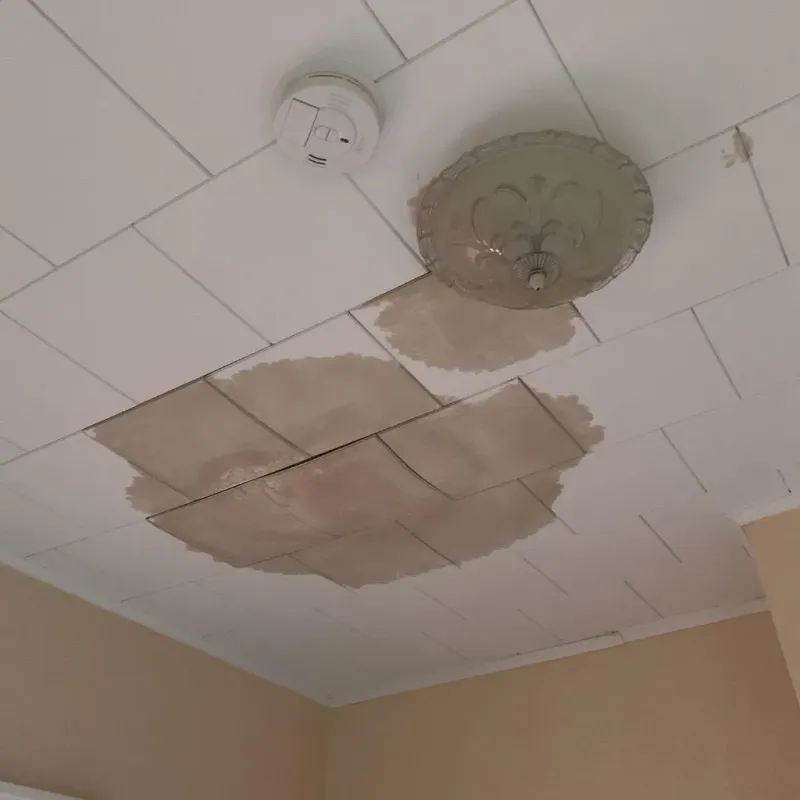 Ceiling Water Damage Repair in Henderson County, TX