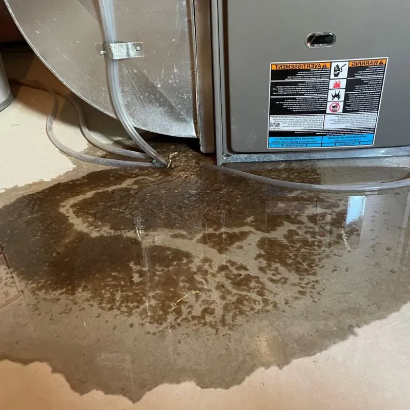 Pipe Burst and Leak Restoration in Henderson County, TX