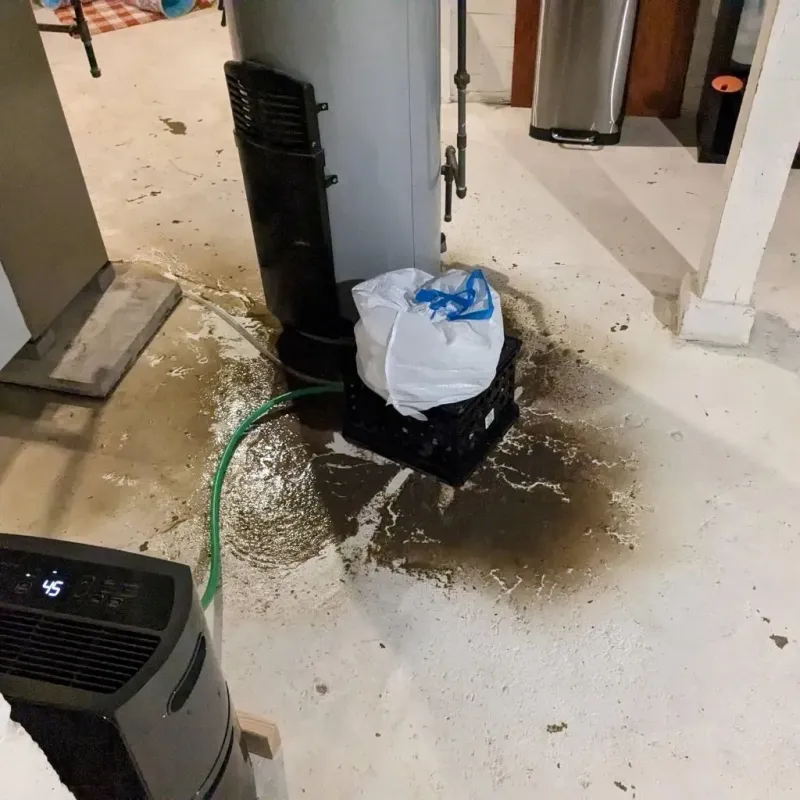 Sewage Backup Cleanup Service in Henderson County, TX